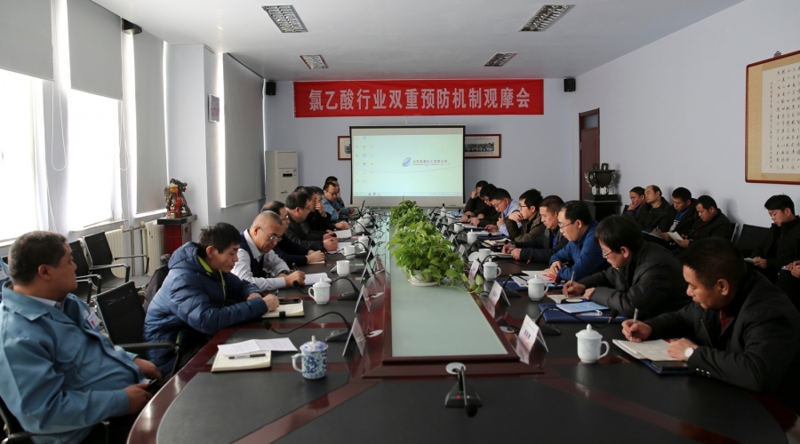 山東省氯乙酸行業(yè)風(fēng)險(xiǎn)分級(jí)管控與隱患排查治理體系建設(shè)觀摩交流會(huì)在公司召開(kāi)